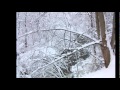 Petoskey Winter Storm 3-12 - YouTube