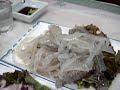Eating a freshly killed cuttlefish