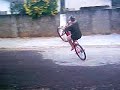 weiller show