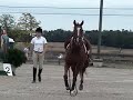 Falling off cruzer