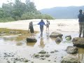 Crossing Sealers creek 2