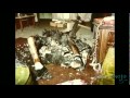 Top 10 Unexplained Phenomena: Mysteries