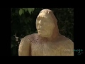 Top 10 Unexplained Phenomena: Mysteries
