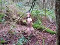 Watch-Out There\