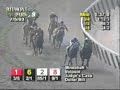 Mineshaft, Volponi, Dollar Bill, Evening Attire, Hero's Tribute and others battle it out