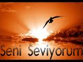 Sevdim Seni Birkere Sevdim Seni Birkere