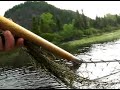 Le deuxi�me brochet de Dumas: le pr�dateur du barrage