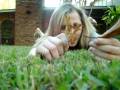 videos de leaf reproduction.