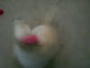 BELLA BRAKE DANCE