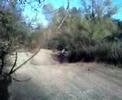 saut 125 yz saut 125 yz