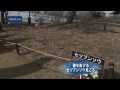 立川市と昭島市にまたがる昭和記念公園では、春を告げるかれんなセンブツソウが見ごろを迎えています。 花の大きさが直径わずか2センチほどとかれんなセツブンソウ。昭和記念公園にある「こもれびの里」には5000本のセツブンソウが次々と花を咲かせています。セツブンソウはキンポウゲ科の多年草でヨーロッパやアジアに分布していますが、自生する地域の環境破壊によってその数は減り続け、環境省の準絶滅危惧種に指定されています。 昭和記念公園のセツブンソウは来月上旬まで楽しむことができ、その後はスイセンやフクジュソウが見ごろを迎えるということです。 ■■↓全文を見る■■ www.mxtv.co.jp