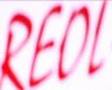REOL Property Consultants