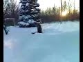 andrews 180
