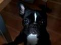 Jun 29 2008 - VID00045