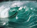 Sea life(relaxing video) Sea life(relaxing video)
