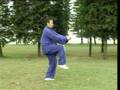 Tai-chi-Sword-Master