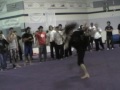 CLN 2007 Gym sampler