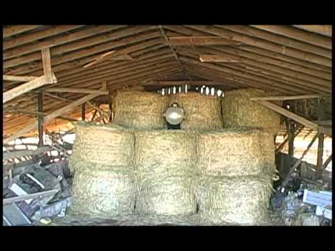 powerball florida powerball florida