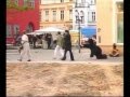 Blinder Aktionismus - Episode 8 - Biene und Bär