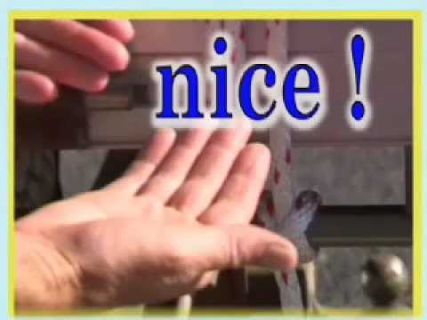 how to truckies hitch