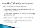 videos de How to Train Rottweilers