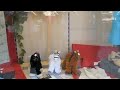 Dancing Horse Puppets