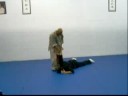 Atemi Ryu JuJitsu Doc. Chenique