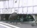 Crash
