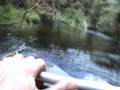 Bushmans Jet Boating New Zealand