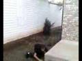 Visions flip