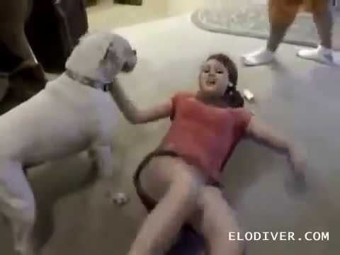 Download Video ANJING VS CEWEK ABG CANTIK, ANJINGNYA NAFSU BANGET!!!! Download Video ANJING VS CEWEK ABG CANTIK, ANJINGNYA NAFSU BANGET!!!!