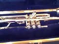 Trumpet Case Trumpet Case