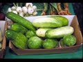 Jacó E Jacozinho - Pepino Jacó E Jacozinho - Pepino