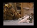 las mejores aventuras de alf al estilo cualcerdo