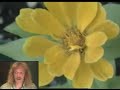 Home Movie Vol 3: ...this week in my natural world