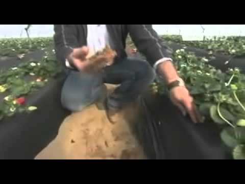 Image de prévisualisation YouTube
