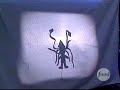 giant-squid-cannibalism.html