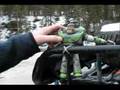Alcan Day 11 (headed home) - Buzz goes wacky