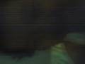 videos de rain crying..