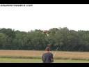 Downonthedeck.com_dod_aw_qb_yak_41907_p1.wmv