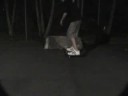 july skate
