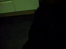 Dicks Dicks
