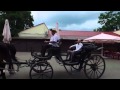 Click to View : Несвиж. Беларусь