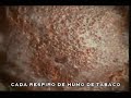 2 COMERCIAL TV CONTRA TABACO / CIGARRO :: TAN BUENOS Subt.