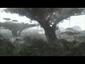 milieu (autumn fog lifts)