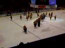 Ice Hockey. Lule� vs Link�ping