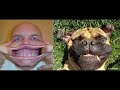 ♥♥♥ Funny Lol Videos 4 ♥♥♥