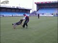 SCHUTZHUND ZIDANE VAN HET LEEFDAALHOF