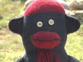 Untitled Buzzdog Movie