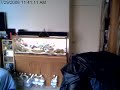 7/29/08 Los Angeles Earthquake webcam footage